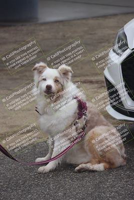 media/Jan-17-2026-VARA University (Sat) [[0e7bc3e19f]]/Around the Pits/